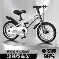 PHOENIX凤凰儿童自行车单车2-3-4-6-9-10岁男孩童车中大童女孩小孩宝宝脚踏车 骑士灰-碟刹 18寸