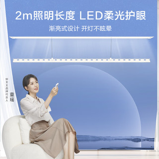HOTATA 好太太 极隐系列 D-3398 电动晾衣架 单杆基础款 2m 白色
