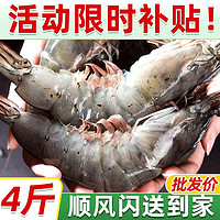 百亿补贴：XYXT 虾有虾途 青岛海水大虾 16-18cm 2kg