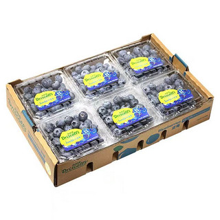 农美年 特大果 蓝莓  125g*4盒 （单果15-18mm）