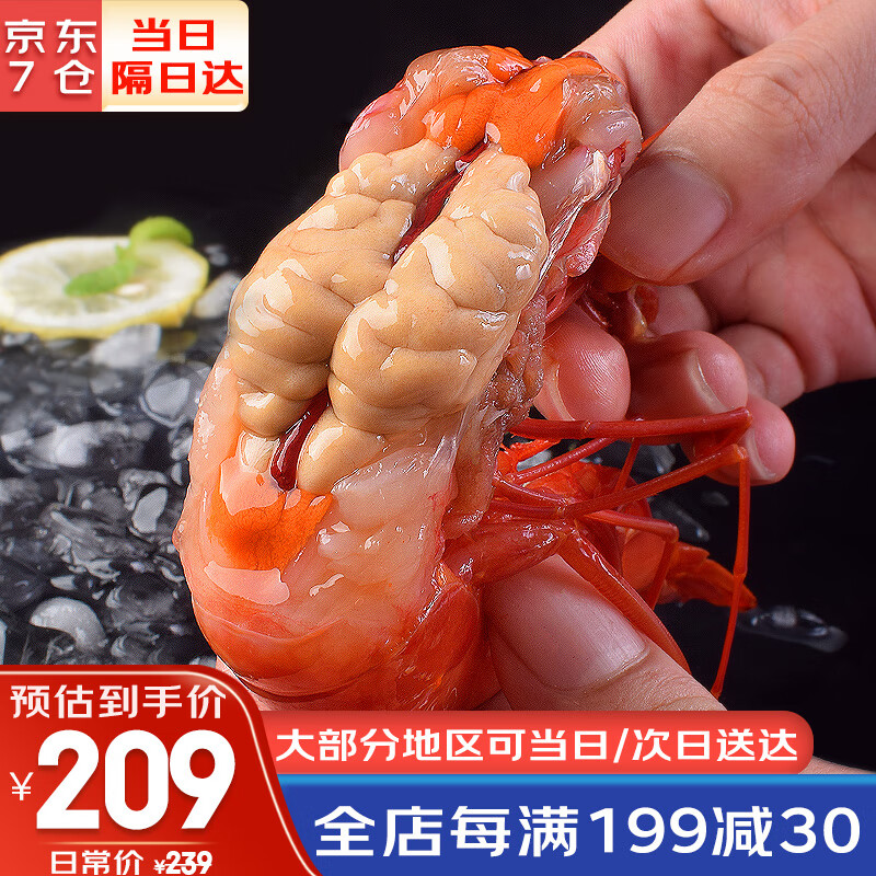 哆鲜生 特大红魔虾 远洋捕捞超大胭脂魔鬼红虾新鲜活冷冻刺身级虾类生鲜 特大号 4-6条/盒（约18-21cm ）