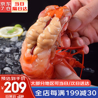 哆鲜生 特大红魔虾 远洋捕捞超大胭脂魔鬼红虾新鲜活冷冻刺身级虾类生鲜 特大号 4-6条/盒（约18-21cm ）