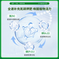 植界绿植肥速效营养棒花肥料养花家用室内通用型盆栽植物速效棒状
