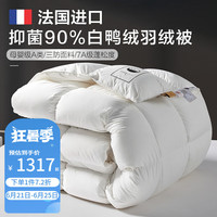 博洋（BEYOND）90%羽绒被白鸭绒冬被法国进口母婴A类加厚被子被芯抑菌床上用品 【A类-法国进口】