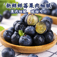 呈鲜菓农 蓝莓 国产新鲜江苏大蓝莓脆甜 当季整箱水果 整箱1斤装 中大果 约12-16mm