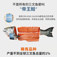深悦胜 新西兰帝王鲑鱼 8-9斤冰鲜三文鱼一整条新鲜即食刺身