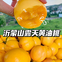 巧鲜惠 当季新鲜水果桃子现摘黄油桃脆桃 精选黄油 桃 净重4.5 斤