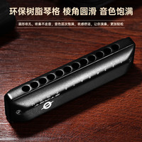 FEIFAN飞繁12孔布鲁斯口琴全音阶低音带FaLa初学者成人专业演奏琴 G#调（Ab调）
