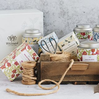  whittard 独立茶包 红茶  包装 1盒 50g