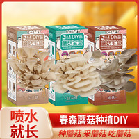 蘑菇盒子 蘑菇diy 蘑菇种植 蘑菇菌包 春森蘑菇宝盒 儿童玩具 儿童趣味蘑菇盒子 榆黄蘑1盒（无喷水瓶）