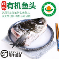 太湖海【有机淡水大鱼】南都湖胖头鱼花鲢鳙鱼生鲜水产 有机鱼头（2.5-3斤）/份