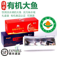 太湖海【有机淡水大鱼】南都湖胖头鱼花鲢鳙鱼生鲜水产 10斤【大鱼礼盒装】-整条分割