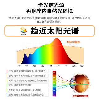 雷士（NVC）一字餐厅吊灯护眼全光谱水晶吸顶吊灯现代简约长条餐桌灯灯饰灯具 凌然 60瓦1.5米护眼全光谱款