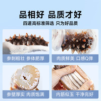【7星级】久年大连即食鲜食海参鲜活辽参大肥弹品质化冻即食500g
