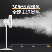 电风扇落地扇家用超静音风扇大风力遥控摇头电扇空气循环扇2289