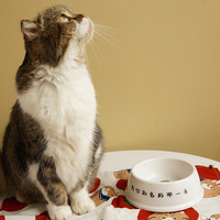 UMTEA 美学实验茶室 优美茶UMTEA x 妙吉联名喵喵叫礼盒猫主题茶包文创伴手礼生日礼物