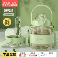 恩尔美(nRMEi)ppsu水杯大容量大肚杯成人耐高温吸管女儿童吨杯吨桶泡茶水壶 薄荷绿1500ml【ppsu+双饮】