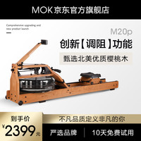 MOKFITNESS(摩刻)-M16p划船机多档调节家用智能折叠水阻划船器健身器材 M16p(