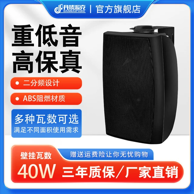  Danmaipaike/丹唛派克 定压挂壁式 壁挂音箱
