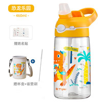 btif儿童水杯小便携实用吸管杯可爱高颜值杯子男女户外运动水杯 恐龙乐园【杯套+姓名贴】 460ml