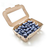 智洲 山东蓝莓   一盒125g *4盒 单果12-14mm