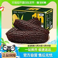 88VIP：灶小美 黑糯玉米内蒙古新鲜苞米真空包装1600g共8支