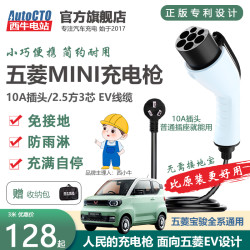西牛电站 五菱宏光迷你充电枪miniEV马卡龙GB五菱缤果星光便携随车充10A16A