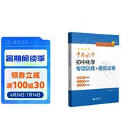 中考水平初中化学专项训练与模拟试卷