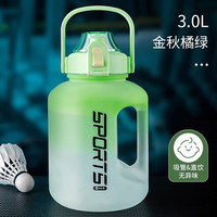 味之享 WeiZhiXiang水杯大容量男生运动水壶吨桶吨耐高温塑料水瓶大肚杯子顿顿桶 金秋橘绿【双饮设计】 3L