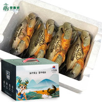 【活蟹】掌昕鲜三门青蟹 公母对蟹（6-7两/只）4只 生鲜活螃蟹海鲜水产盒非帝王蟹 礼赠款 公母对蟹（6-7两/只）4只