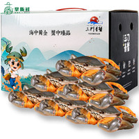 【活蟹】掌昕鲜三门青蟹 公母对蟹（5-6两/只）6只 生鲜活螃蟹海鲜水产盒非梭子蟹 礼赠款 公母对蟹（5-6两/只）6只