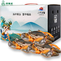 【活蟹】掌昕鲜三门青蟹 全母蟹（5-6两/只）3只 生鲜活螃蟹海鲜水产盒装非梭子蟹 浅尝款 全母蟹（5-6两/只）3只