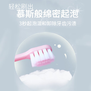 RRQ 软毛护理牙刷 细毛深入去渍呵护牙龈 小头成人家用牙刷 2支装