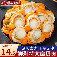 海皇湾4件】海皇湾新鲜扇贝肉即食蒜蓉扇贝肉冷冻海鲜水产500g 扇贝肉250g