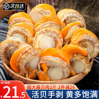 尚致 新鲜扇贝肉1000g 可做粉丝扇贝 烧烤食材 生鲜 贝类大扇贝
