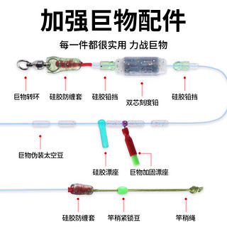 贾东普 大物线组成品强拉力钓鱼主线组鲟青鱼巨物线组全套装 5.4m 7号