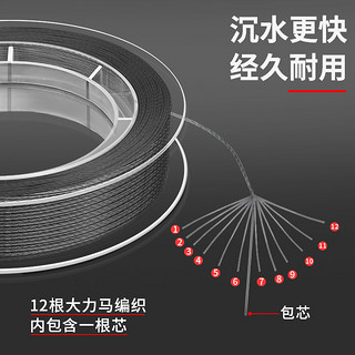 卓竞德国原丝12大力马鱼线主线pe线竞技钓鱼子线路亚织渔网线 300米9十米一色 300米 1号