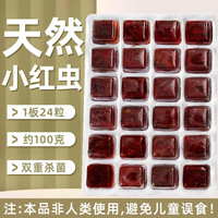 奈宠(NaiChong)冰冻红虫鱼食冷冻红血虫赤虫冷冻丰年虾罗汉鱼锦鲤神仙鱼粮饲料食 精选小红虫+喂食镊+化冰盒 10片【240颗】