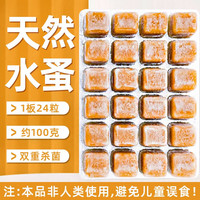 奈宠(NaiChong)冰冻红虫鱼食冷冻红血虫赤虫冷冻丰年虾罗汉鱼锦鲤神仙鱼粮饲料食 精选水蚤+喂食镊+化冰盒 3片【72颗】