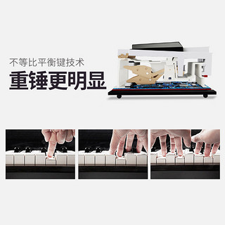 探律（TANLV）钢琴电钢琴88键重锤专业成人初学者幼师儿童家用立式数码电子钢琴 T03烤漆白 -大高箱-纯钢全重锤款