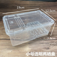 泽驭名宠（ZEYU MINGCHONG）爬虫角蛙守宫蜗牛蜘蛛蝎子蜈蚣蛇蜥蜴乌龟爬宠饲养箱饲养盒 小号两栖饲养盒19*12.5*7.5cm