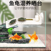 耐恩乐乌龟晒台爬台鱼缸龟缸爬坡高水位休息水族箱深水浮岛龟箱晒背浮台 【白色中号-单吸盘】12*18*3cm