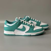 NIKE 耐克 男子新款Dunk Low潮流百搭休闲鞋舒适运动板鞋DV0833-101