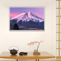 ToMAX夜光成人拼图1000片日本富士山风景高难度解压解闷玩具 夜光款100-330