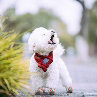 HCPET小狗狗鞋子泰迪比熊宠物中小型犬夏季户外透气凉鞋不掉脚防脏脚套 红蓝笑脸防水轻薄款 4号【宽4.3CM】20斤以内