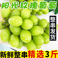 水果蔬菜 阳光玫瑰葡萄 净重2.5-3斤单果8-10g