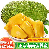 美得乐 海南黄肉菠萝蜜 20-25斤