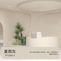 三棵树 漆(SKSHU)微水泥效果艺术漆 侘寂风肌理质感墙面涂料抗甲醛 夏雨灰 1L ~10L 5L