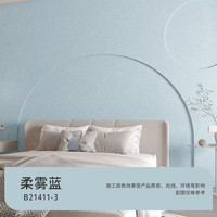 三棵树 漆(SKSHU)微水泥效果艺术漆 侘寂风肌理质感墙面涂料抗甲醛 柔雾蓝 1L ~10L 5L