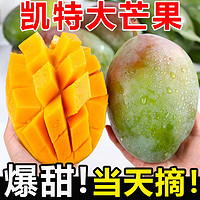 惜音 四川攀枝花凯特芒果 应季时令新鲜水果 5斤中果（250g+） 优选攀枝花凯特芒
